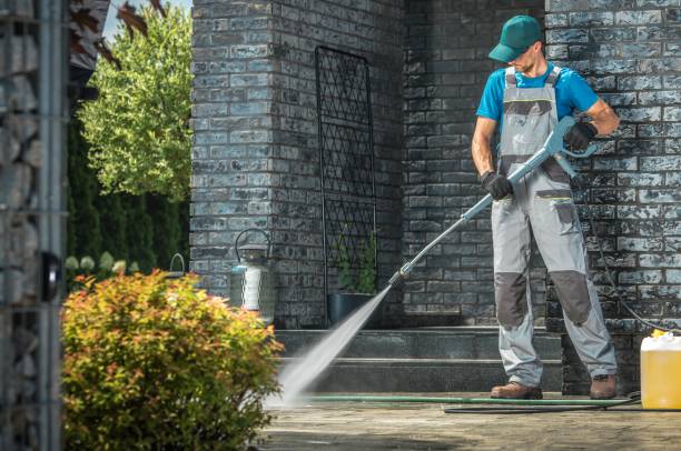 Best Solar Panel Cleaning  in Hamlin, WV