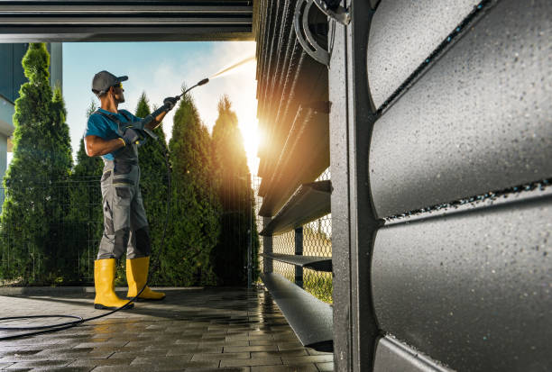 Best Rust Removal  in Hamlin, WV